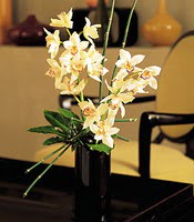  Samsun gvenli kaliteli hzl iek  cam yada mika vazo ierisinde dal orkide